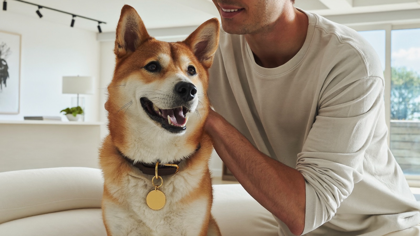 How Much Does It Cost to Own a Dog?