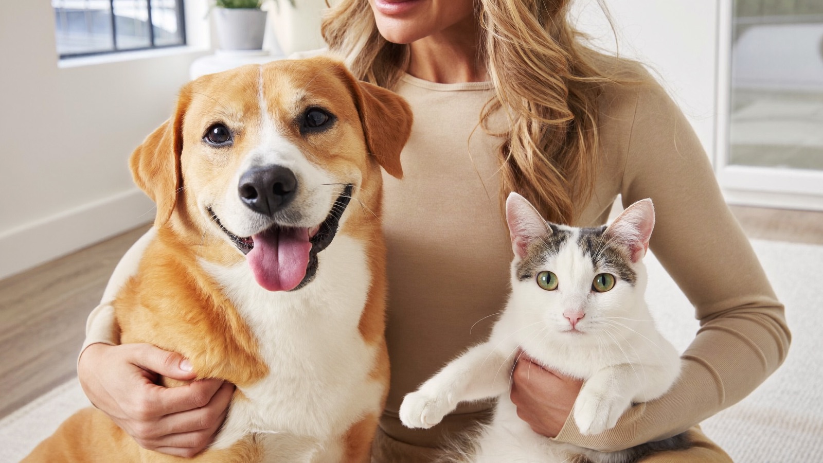 How to Budget for Pet Care: A Simple Plan