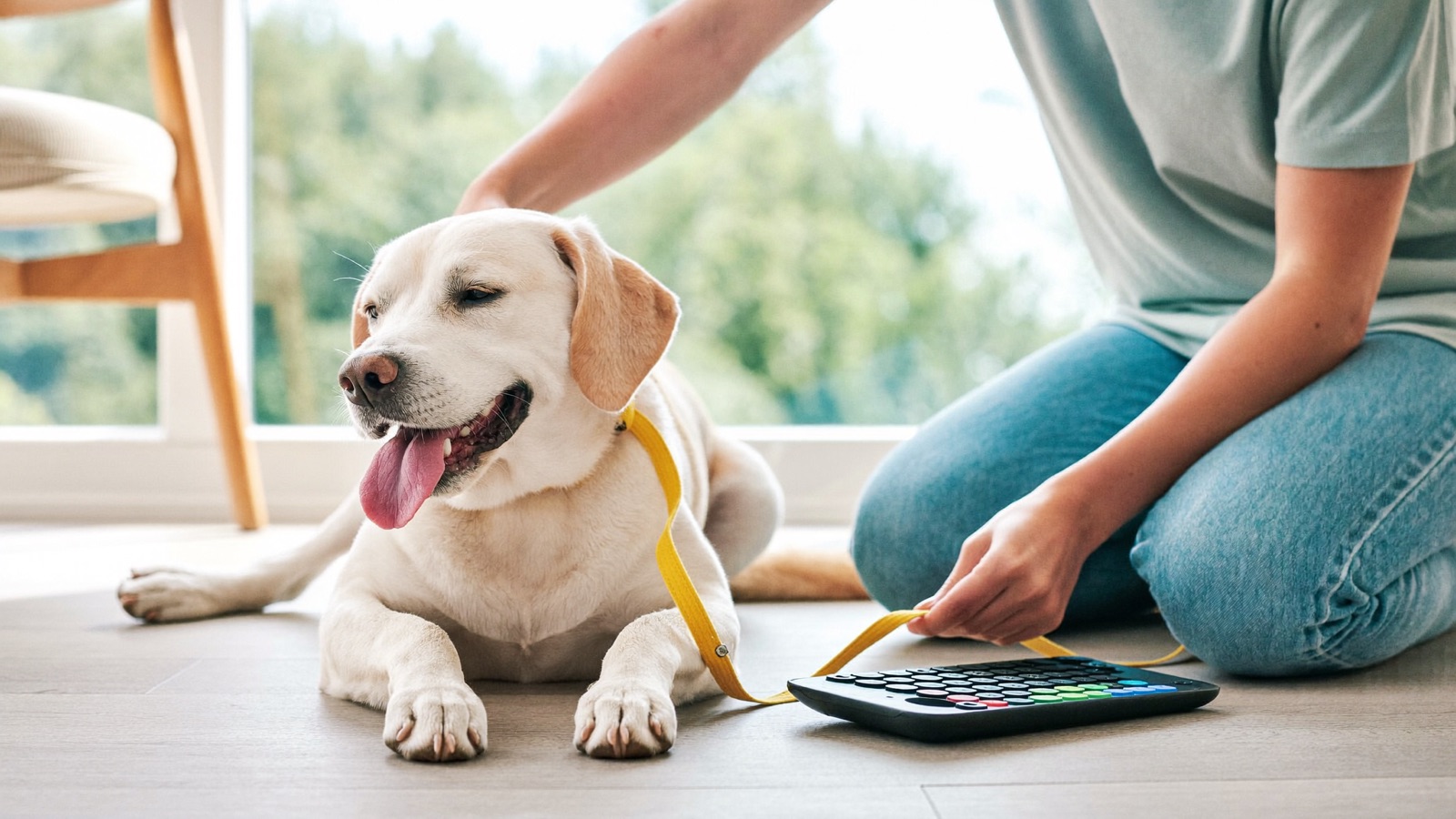 How to Trim Dog Nails Without the Stress