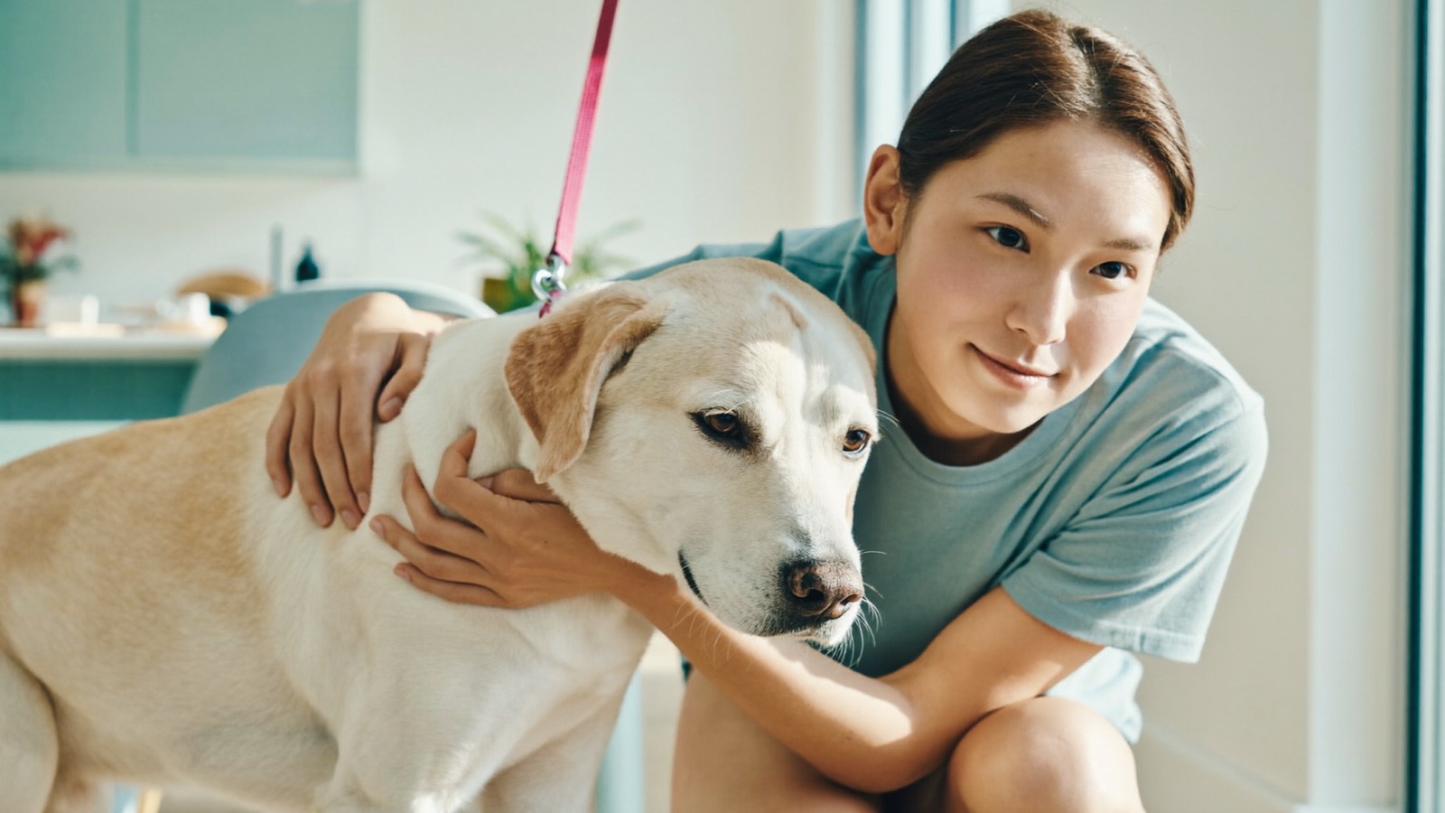 Seizures in Dogs: What to Do During One