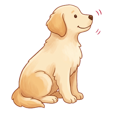 Sit